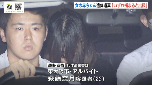 img_1bec44351f2381d4a11b8c78dd6c