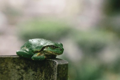 A6700375_TP_V