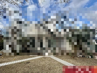 79183244_0024