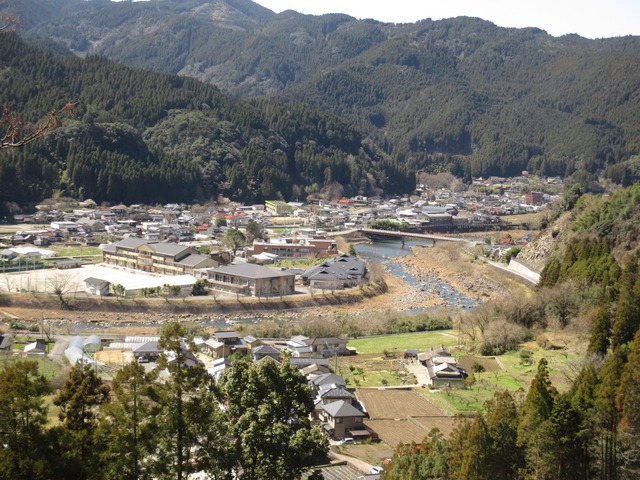 oyamakesiki