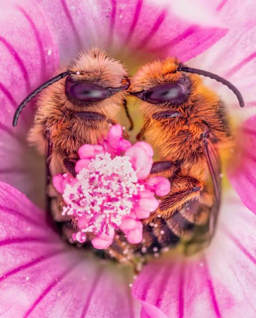 スクリーンショット 2025-10-09 154554