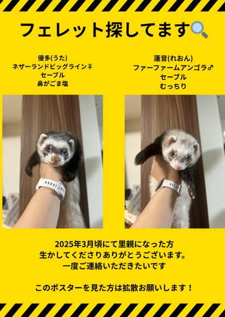 スクリーンショット 2026-05-14 132235