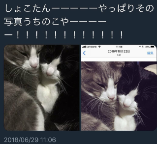 スクリーンショット 2024-08-01 134820