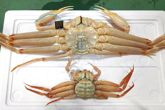 img_19a47ed06cea762cadef9214ac568652831274