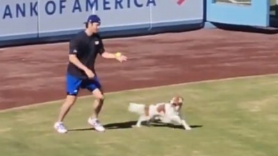 【動画】大谷さん、愛犬デコピンのしつけまでメジャークラス