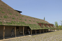IMG_1581