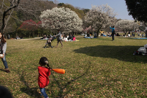 荒山公園