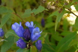 P1020002