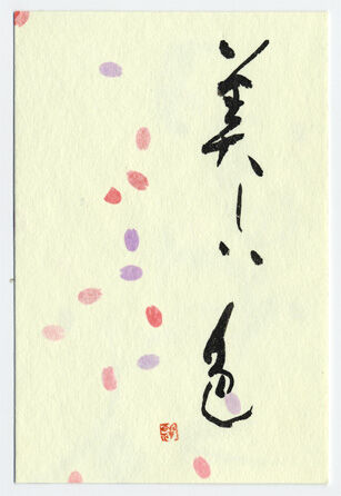 10 美しい色