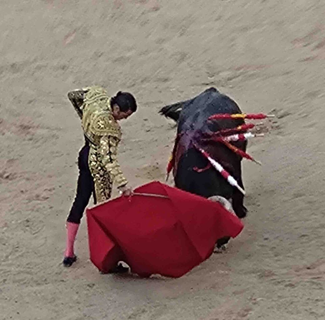 TORO 初めての闘牛見物！in Madrid : Kinkoちゃん随筆