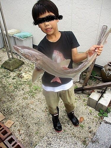 ず っと田舎暮らし 体が鈍る