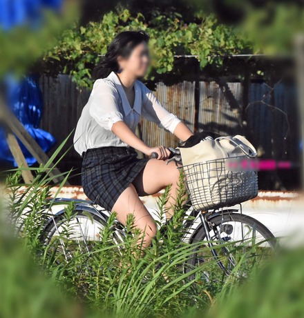 co_1403_3_org