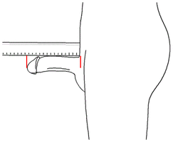 nbp-diagram