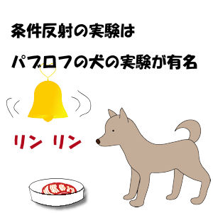 パブロフの犬 男の条件反射 スポーツ女子の熱量