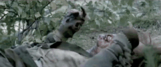 ezgif-4-3ab9493dcc4f