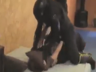 capture-20260108-192954