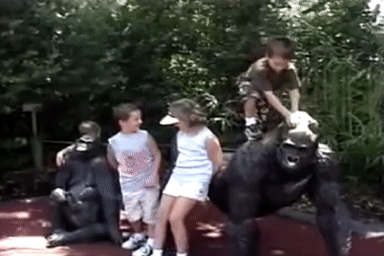 ezgif-2-58fd30e7d0ce