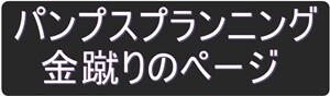 パンプス金蹴り300