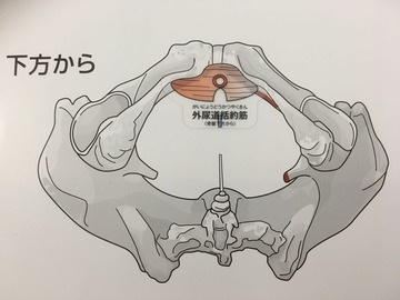 94-1