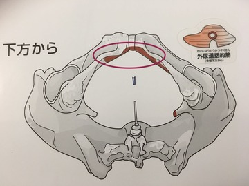 94-2 のコピー