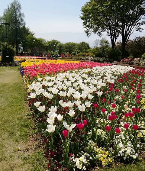 IMG_20190429_105521