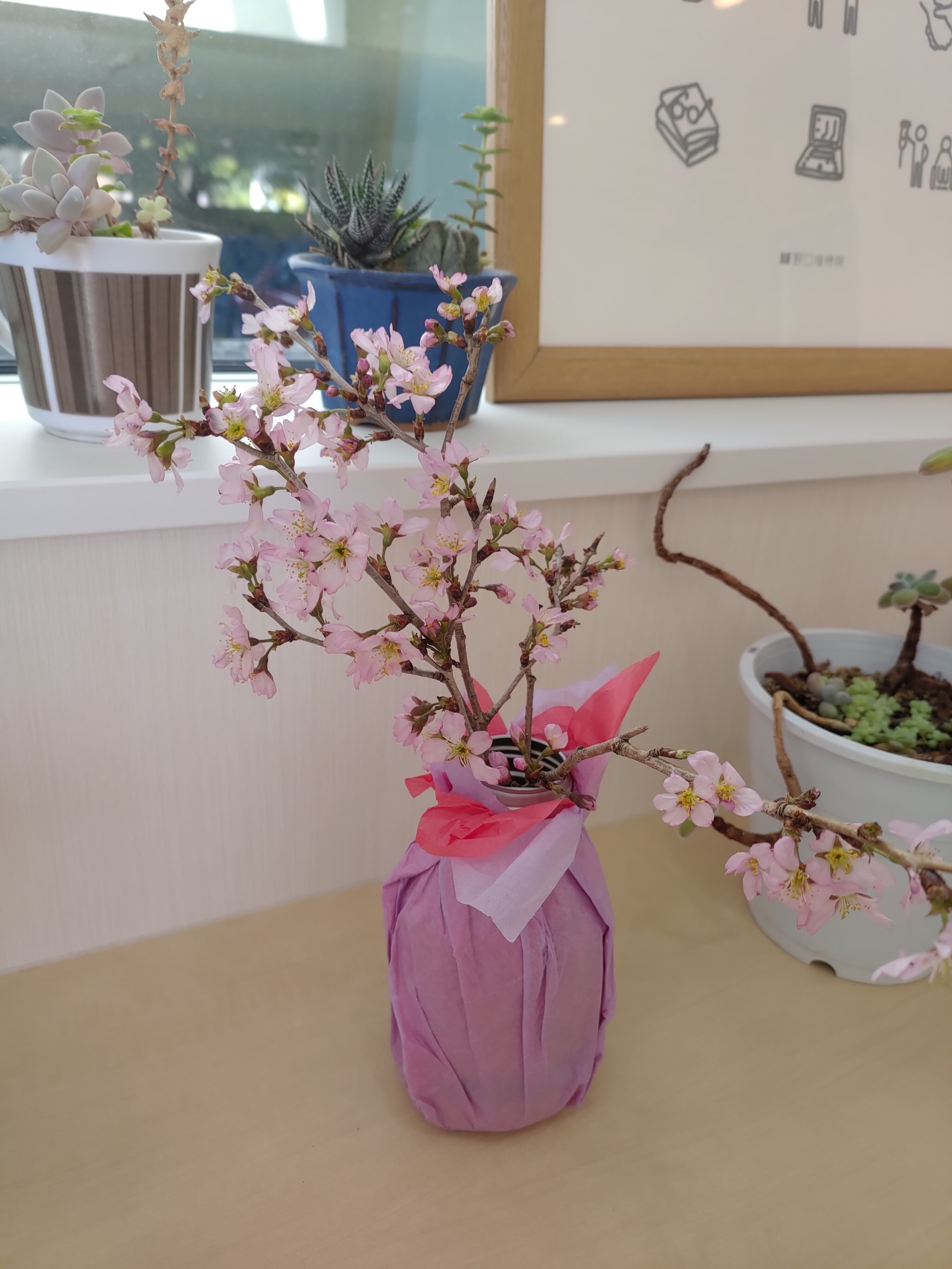 大島桜の枝を持ってきていただきました 週刊ノグッチ