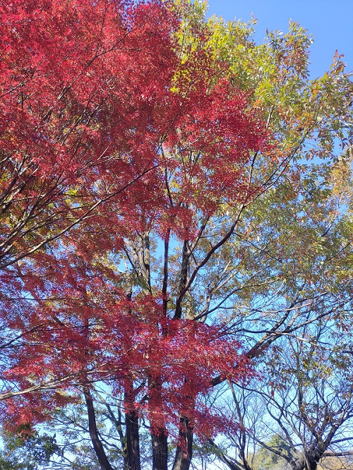 P_20211115_134447