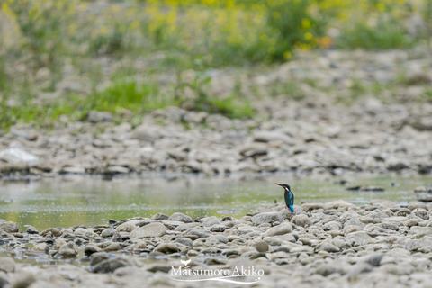 _DSC0077