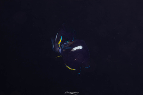 104A9552