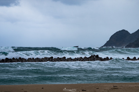 DSC03557