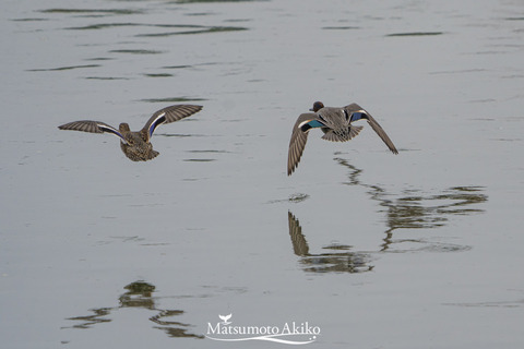 _DSC0124