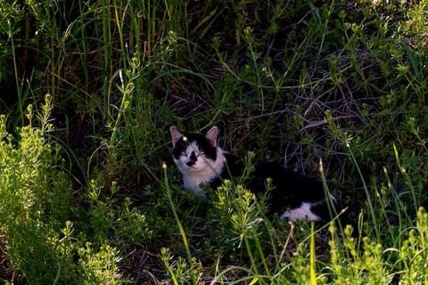 _DSC0177