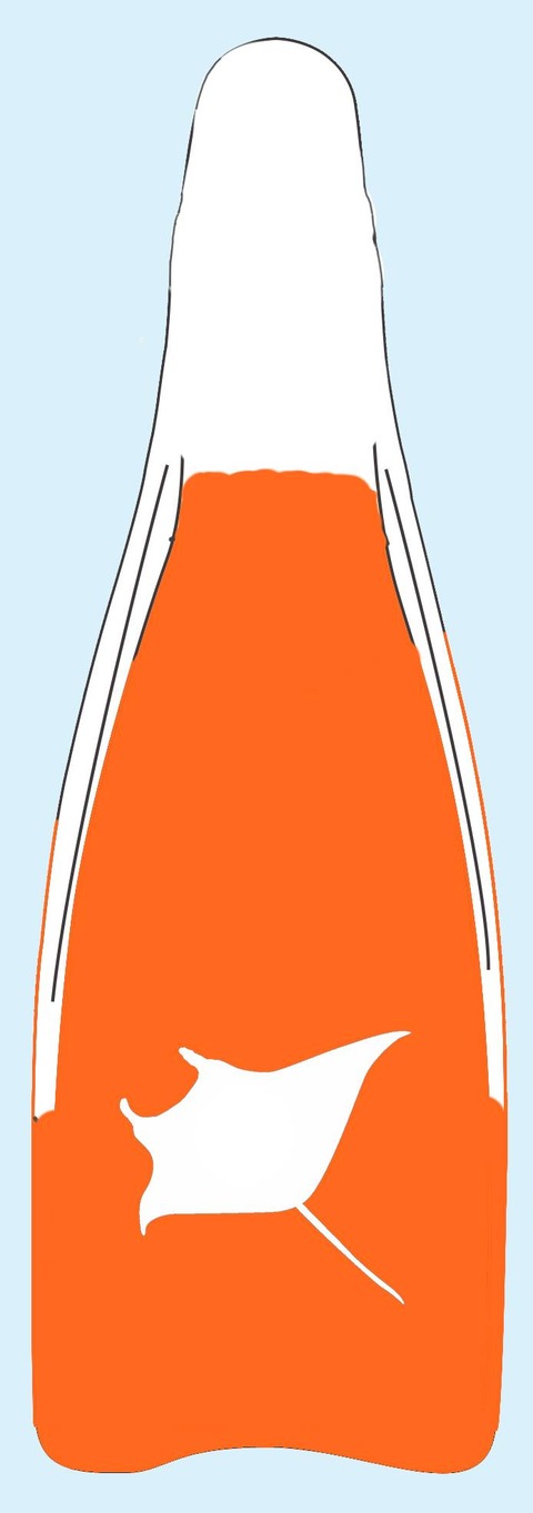 493727738_1254169493378984_1587794924915148269_n