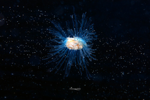 104A0908