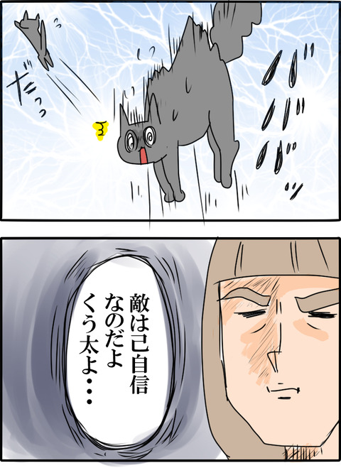 猫の毛_002