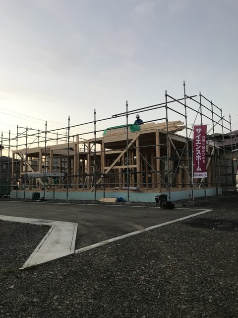 石鳥谷F1 (2)