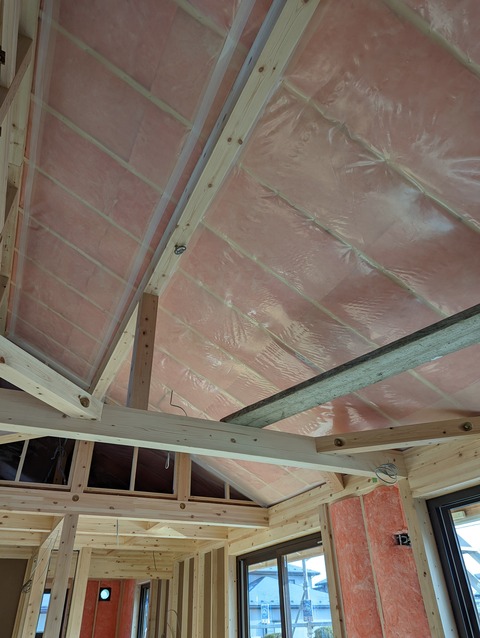 PXL_20211221_043629270