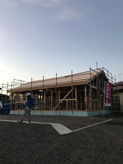 石鳥谷F1 (1)