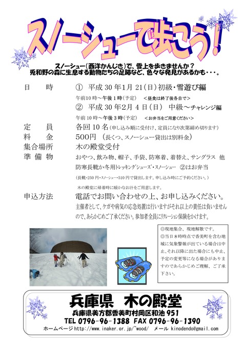 H29snow