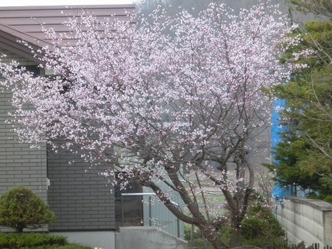 CIMG2258