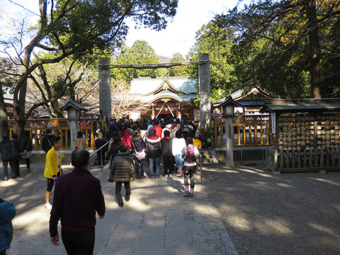 74d22e5c746a1af1dc5fe8b1a0431b80