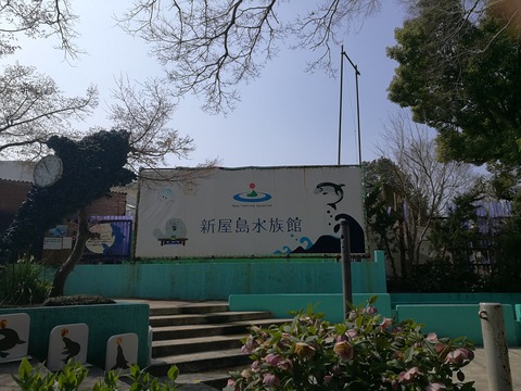 IMG_20180325_105417[1]