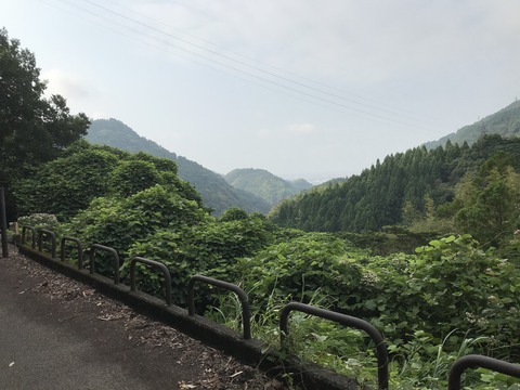 9298D063-D887-42EE-8DA1-9736F40D1629