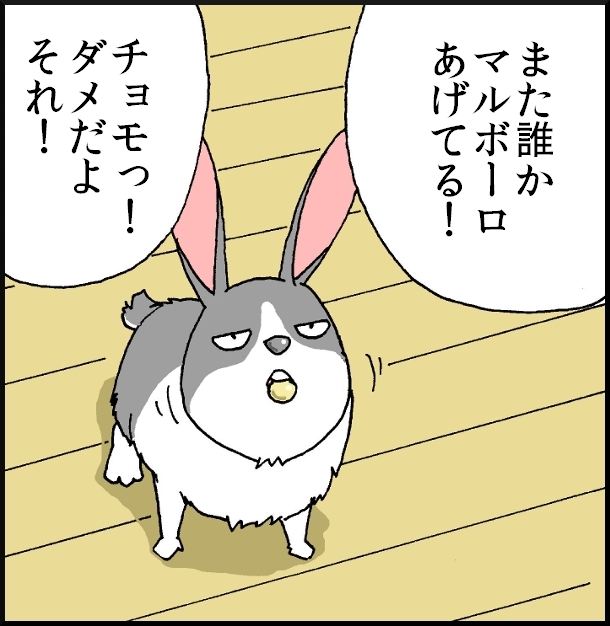 【おバカ絵日記】 缶詰ウサギ