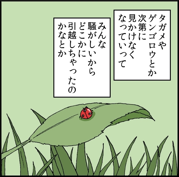 【おバカ絵日記】　缶詰ウサギ