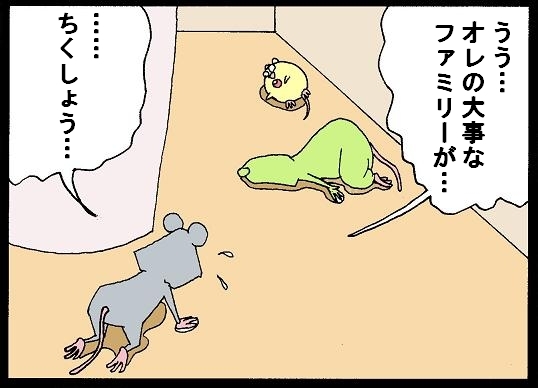 Foolish dragon