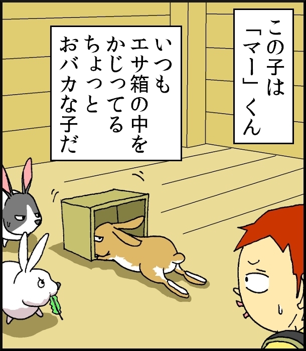 【おバカ絵日記】 缶詰ウサギ