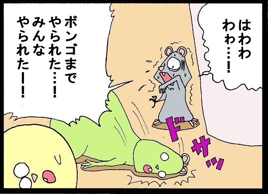 Foolish dragon