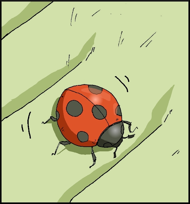 【おバカ絵日記】 缶詰ウサギ