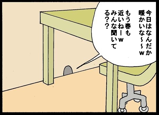 Foolish dragon